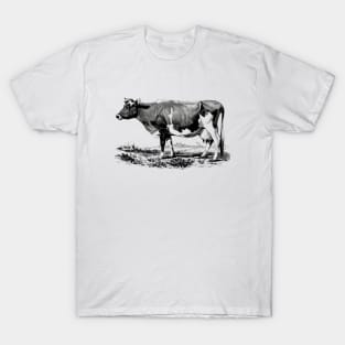 Cow Black and White Illustration T-Shirt